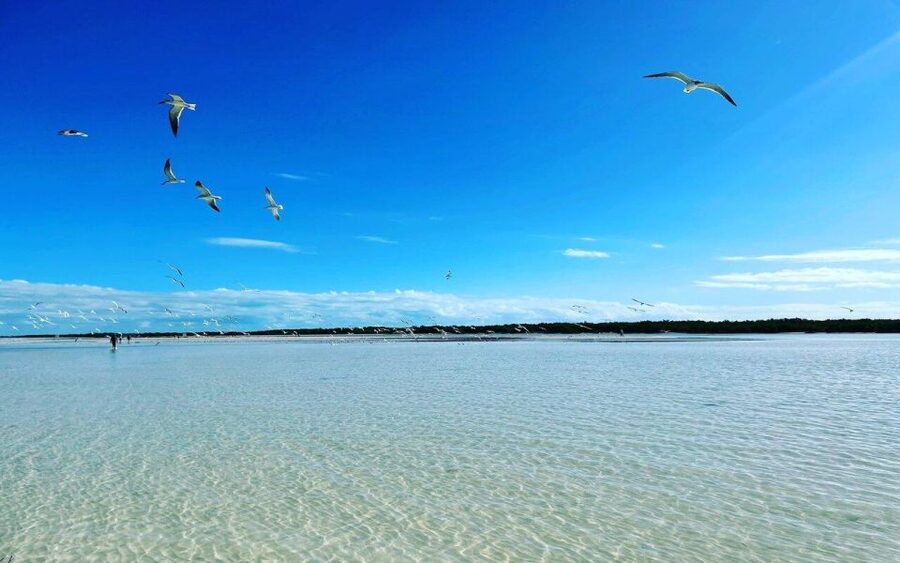 Exclusive Holbox: Yalahau, Punta Mosquito and Isla Pasion - Price and value: what $169 includes, plus the extra fee