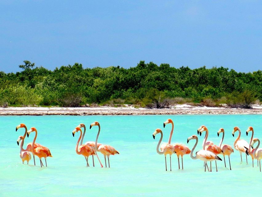 Exclusive Holbox: Yalahau, Punta Mosquito and Isla Pasion - Getting to Chiquila, then switching to speedboat mode