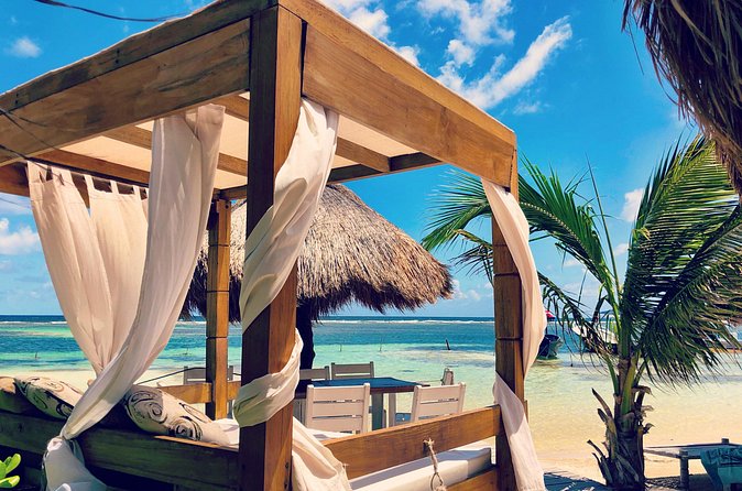 Exclusive Open Bar Experience at Yaya Beach - Eating at Yaya Beach: international menu, vegan picks, and package clarity
