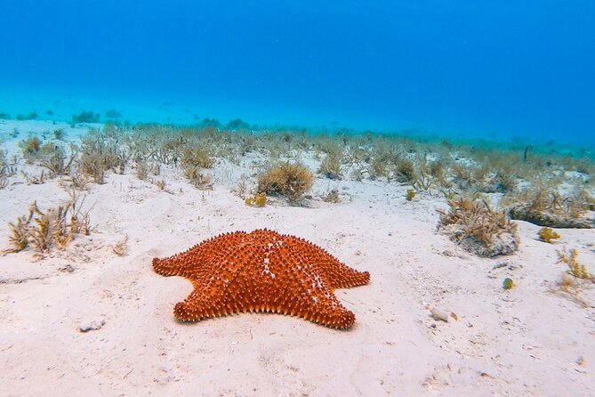 Exclusive Private Boat to El Cielo - Gear, towels, and the reef-safe sunscreen rule