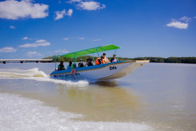 Excursion to Celestun Biosphere and Beach Day from Merida - Freshwater spring and mangrove tunnel moments you will remember
