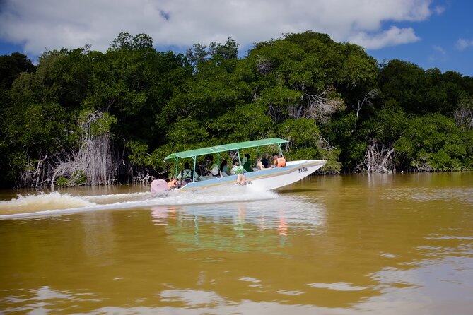 Excursion to Celestun Biosphere and Beach Day from Merida - Playa Norte Celestún: beach-club comfort after the boat