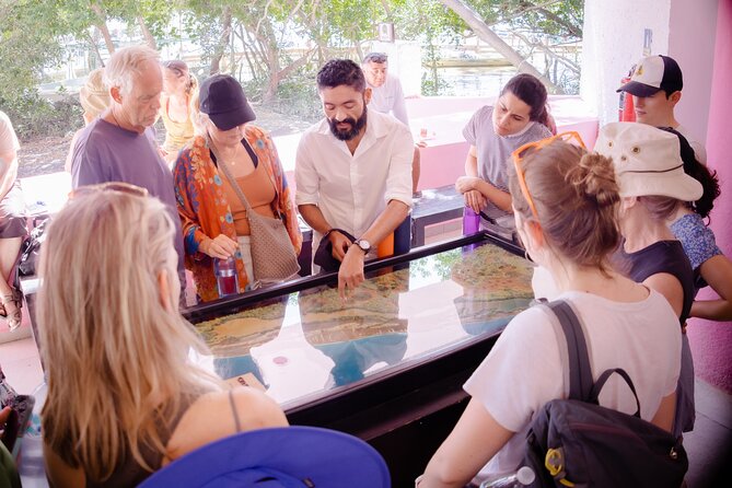 Excursion to Celestun Biosphere and Beach Day from Merida - Price and value: what $71.69 covers, and what you pay in cash
