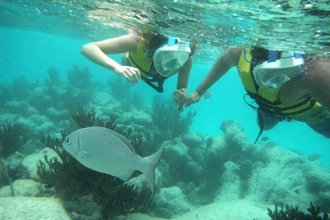 Exotik half a day tour: Cenote Cave and Swimming with Sea Turtles - Who should book this cenote and turtle combo