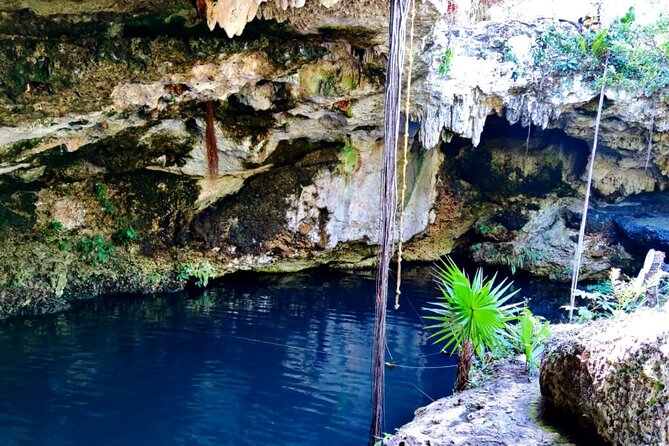 Experience Cancun's Hidden Gems, Mayan museum, cenote & Market 23 - Lunch, drinks, snacks, and the part most tours forget