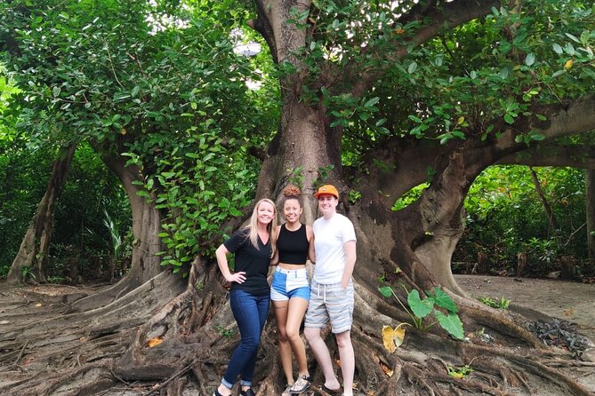 Experience Cancun's Hidden Gems, Mayan museum, cenote & Market 23 - Who this tour is best for, and who should think twice