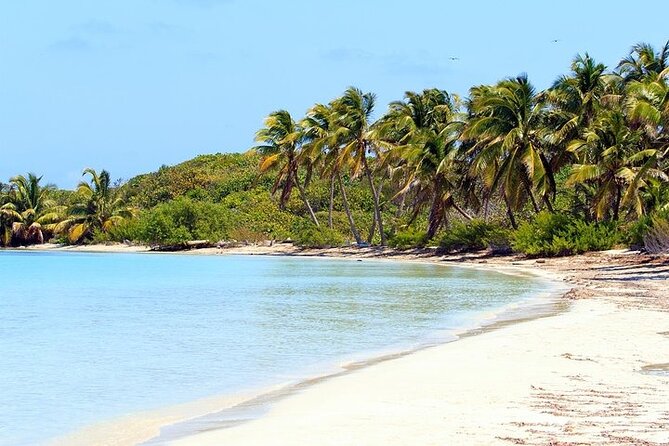 Explore Contoy Island - The 55-foot boat ride and what to expect at sea