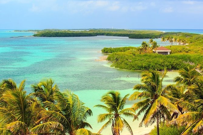 Explore Contoy Island - Isla Mujeres stop: how you’ll use your time