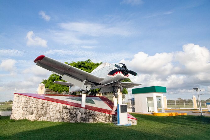 Explore Cozumel your Way Private Island Tour with Pro Guide - Price and Value: Is $199.99 per Group Fair?