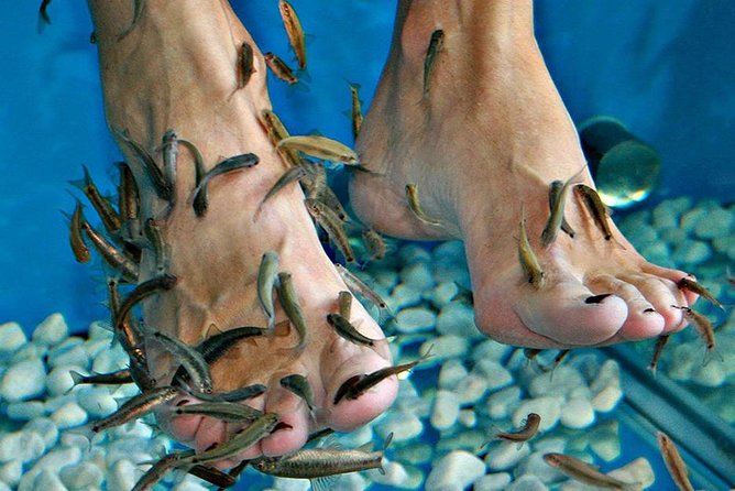 Fish Spa, Beach Break with Lounge Chairs, Umbrellas & Beach Area - Fish spa plus beach club: what makes it a smart Cozumel pick