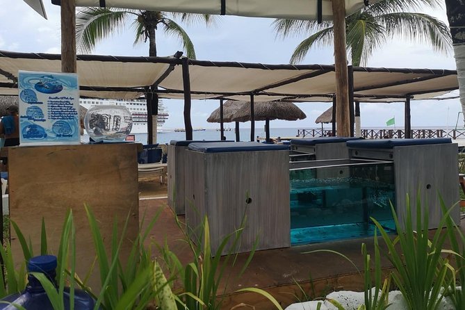 Fish Spa, Beach Break with Lounge Chairs, Umbrellas & Beach Area - The red garra fish pedicure: short, unusual, and very low effort
