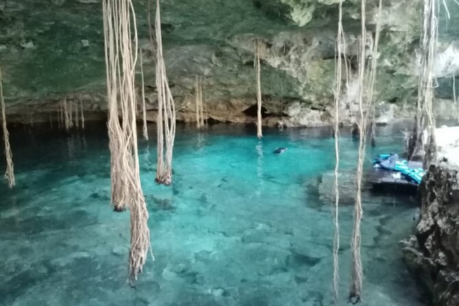 Five Cenotes Jungle Experience in the Riviera Maya - Pricing and value: what $149 buys you in the real world