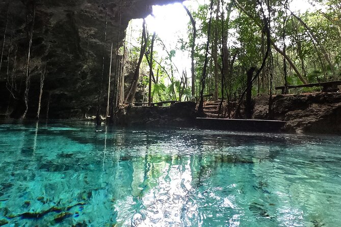 Five Cenotes Jungle Experience in the Riviera Maya - Guides and communication: why Fabio, Roy, Alberto, Alex, and Lev keep coming up