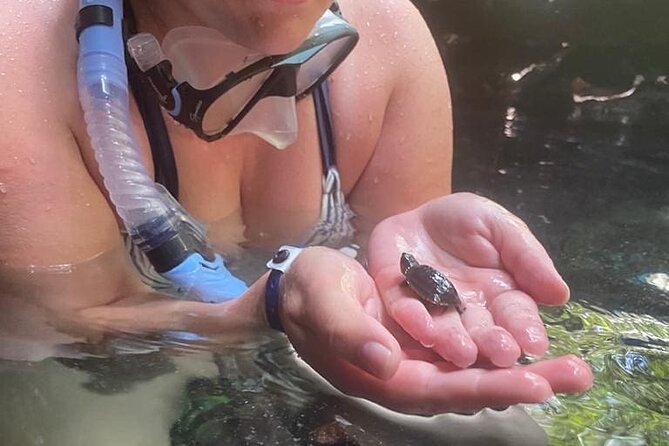 Five Cenotes Jungle Experience in the Riviera Maya - Meeting point in Playa del Carmen, plus how the timing actually works