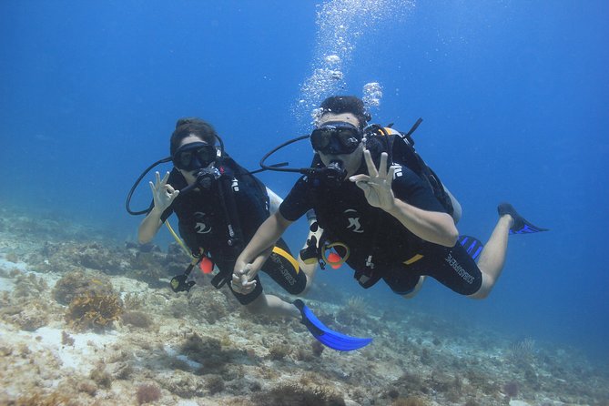 For certified Divers Experience the Under Water Museum and the Manchones Reef - How the PADI instructor and small group change your comfort level