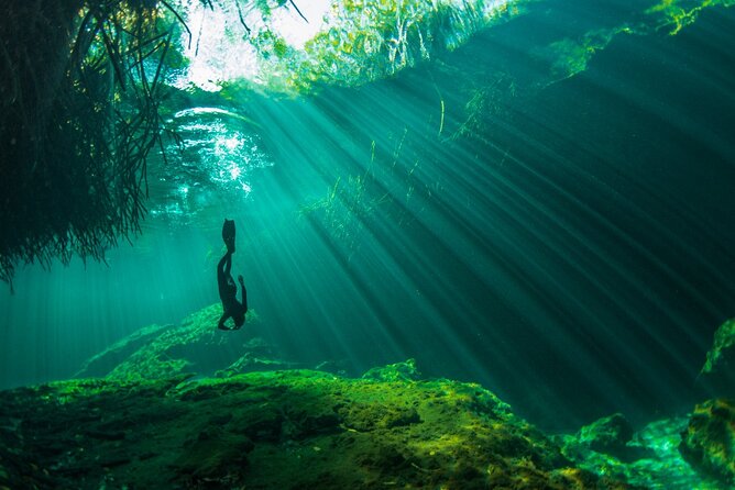 Freediving Intro for Beginners in a Cenote in Tulum Mexico - Progressing Under the Mangroves Without Feeling Rushed