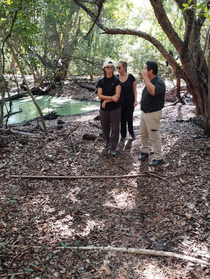 From Bacalar: Calakmul Ruins Expedition & Jungle Trek - Maya astronomy at the solar observatory: the stories behind the stones