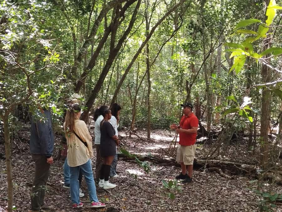 From Bacalar: Calakmul Ruins Expedition & Jungle Trek - The real price: tour cost plus the required Calakmul and biosphere tickets