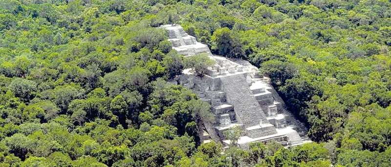 From Campeche: Calakmul Guided Nature and History Day Trip - Getting there from Campeche without making the day harder