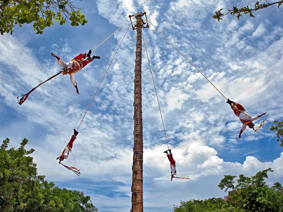 From Cancun: Complete Combo to Xcaret Park! - Should You Book the Cancun Complete Combo to Xcaret Park?