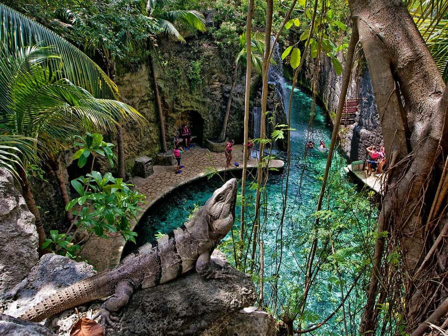 From Cancun: Complete Combo to Xcaret Park! - Price and Ticket Options: How the Plus Add-On Changes Your Day