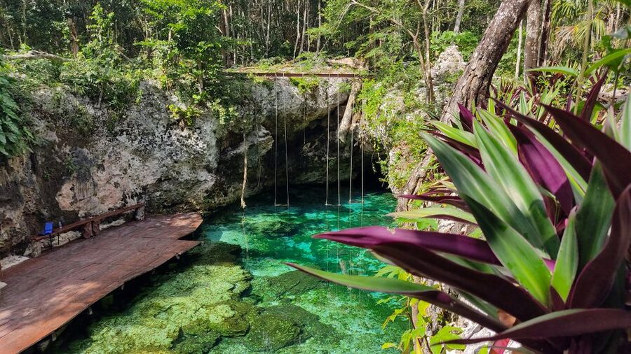From Cancun: Day Trip to Tulum, Cenote & Playa del Carmen - Price, Fees, and Whether It Feels Like a Smart Deal