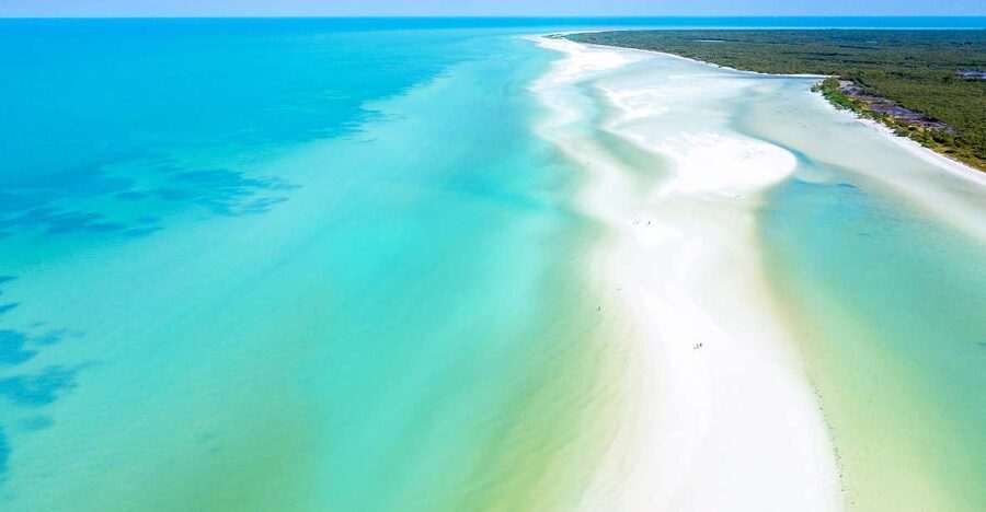 From Cancun or Puerto Morelos: Holbox Boat Tour with Lunch - Key highlights to look for