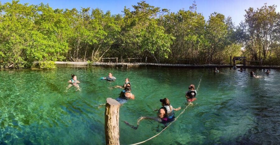 From Cancun or Puerto Morelos: Holbox Boat Tour with Lunch - Hoyo Negro Yalahau cenote swim: the nature stop that changes the mood