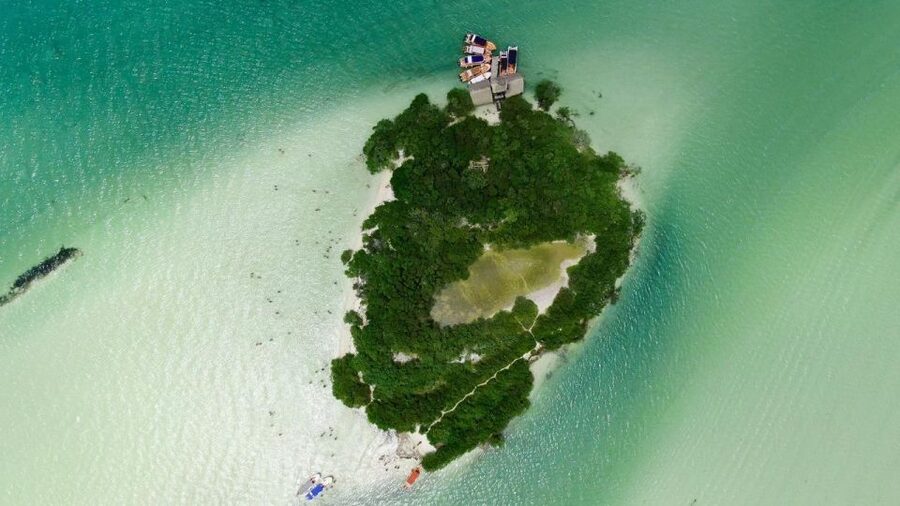 From Cancun or Puerto Morelos: Holbox Boat Tour with Lunch - Price and value: what $104 plus the $40 surcharge really means
