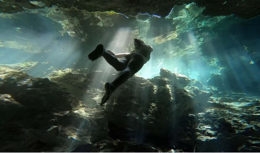 From Cancun: Tulum, Cenote and Turtle Swim Tour at Akumal - Why this day trip works: turtles plus Mayan ruins plus a cenote