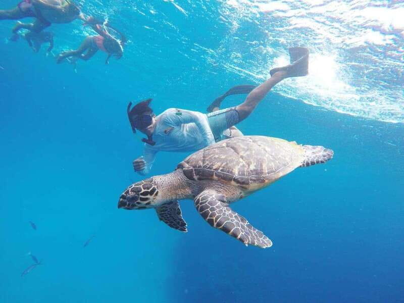 From Cozumel: 3 Reefs Boat Tour with Drinks and Snorkeling - Stop 2, Columbia reef for starfish and sandy-bottom scenes