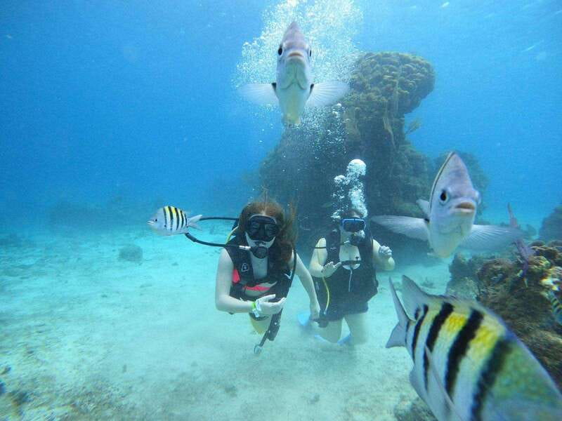 From Cozumel: Chankanaab Cozumel Scuba Diving - FAQ