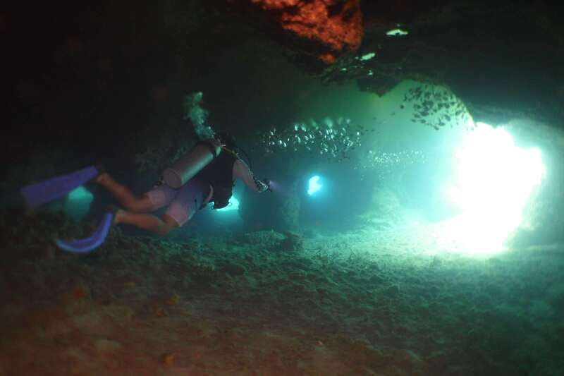 From Cozumel: Chankanaab Cozumel Scuba Diving - What You’ll See: Fish, Sculptures, and Cave-Style Areas