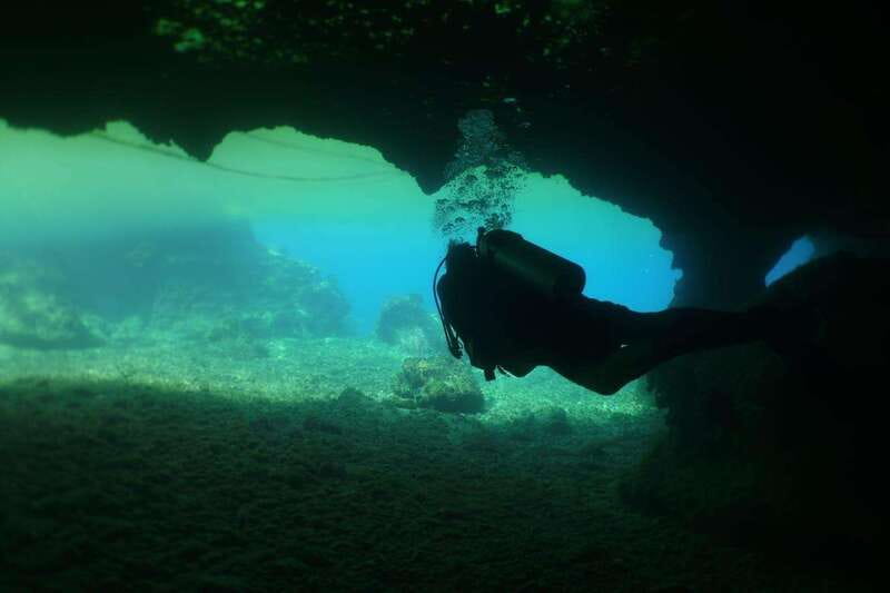 From Cozumel: Chankanaab Cozumel Scuba Diving - After the Water Time: Beach Access, Sea Lion Shows, and Park Walks
