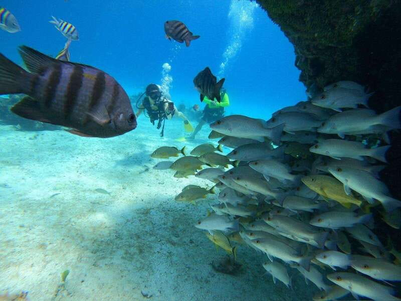 From Cozumel: Chankanaab Cozumel Scuba Diving - Getting Ready at Chankanaab Adventure Beach Park