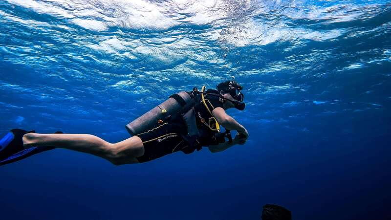 From Cozumel: Double Tank Scuba Diving for Certified Divers - Weather Reality: Rain or Shine, with Port-Closure Safety Checks