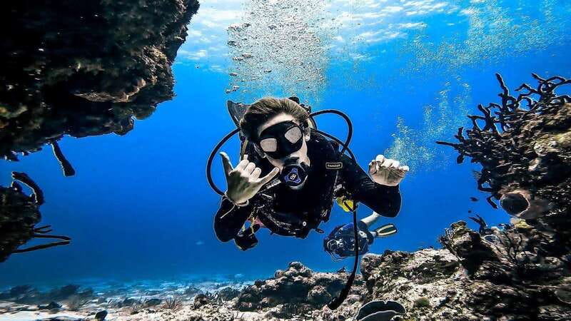 From Cozumel: Double Tank Scuba Diving for Certified Divers - First Underwater Stop: Safety Briefing, Marine Life Viewing, Then 45 Minutes
