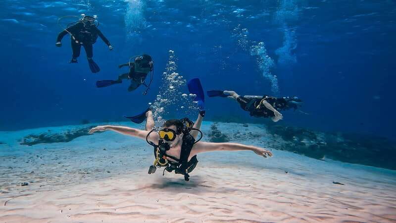 From Cozumel: Double Tank Scuba Diving for Certified Divers - Marine Life Expectations: How to Think About Wildlife Here