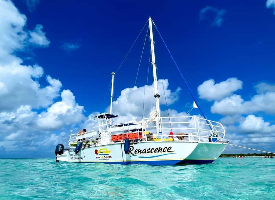 From Cozumel: El Cielo Beach by Catamaran Snorkeling Tour - El Cielo starfish reef: what to look for underwater