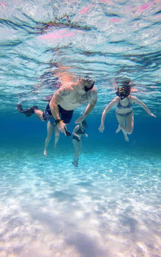 From Cozumel: El Cielo Beach by Catamaran Snorkeling Tour - Turtle bay: respectful encounters that feel friendly