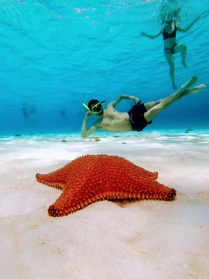 From Cozumel: El Cielo Beach by Catamaran Snorkeling Tour - The beach break: what you should expect after snorkeling
