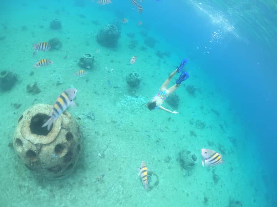 From Cozumel: Invisible Boat Snorkeling Tour - Price and Value: What $32 Really Buys You