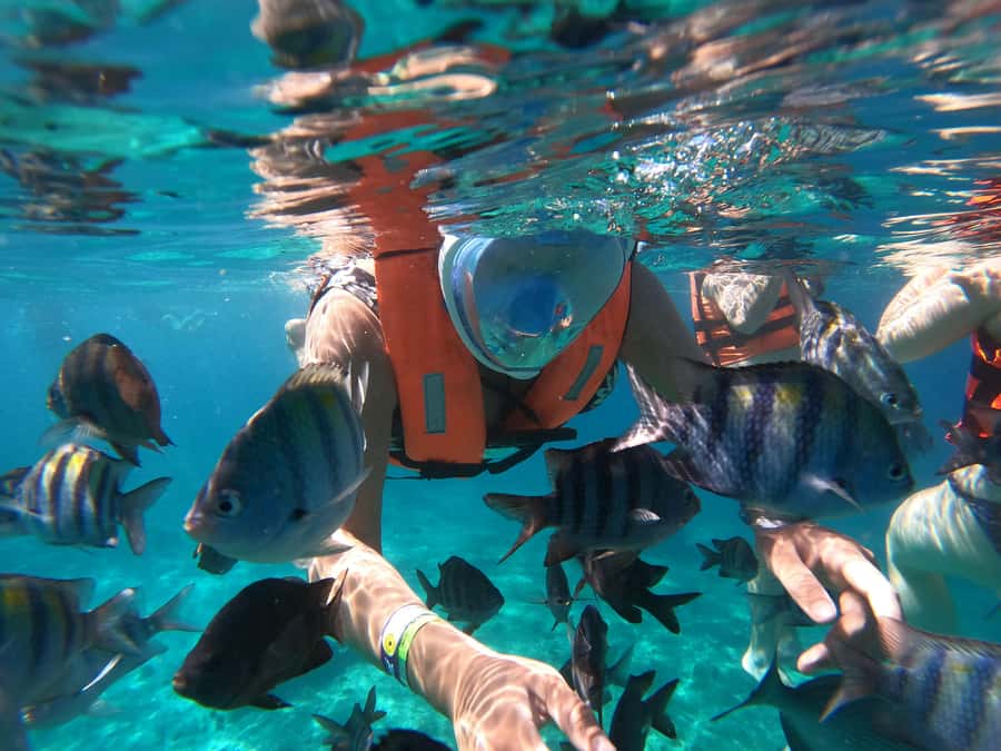 From Cozumel: Invisible Boat Snorkeling Tour - A Clear Boat Snorkeling Tour That Keeps You Dry