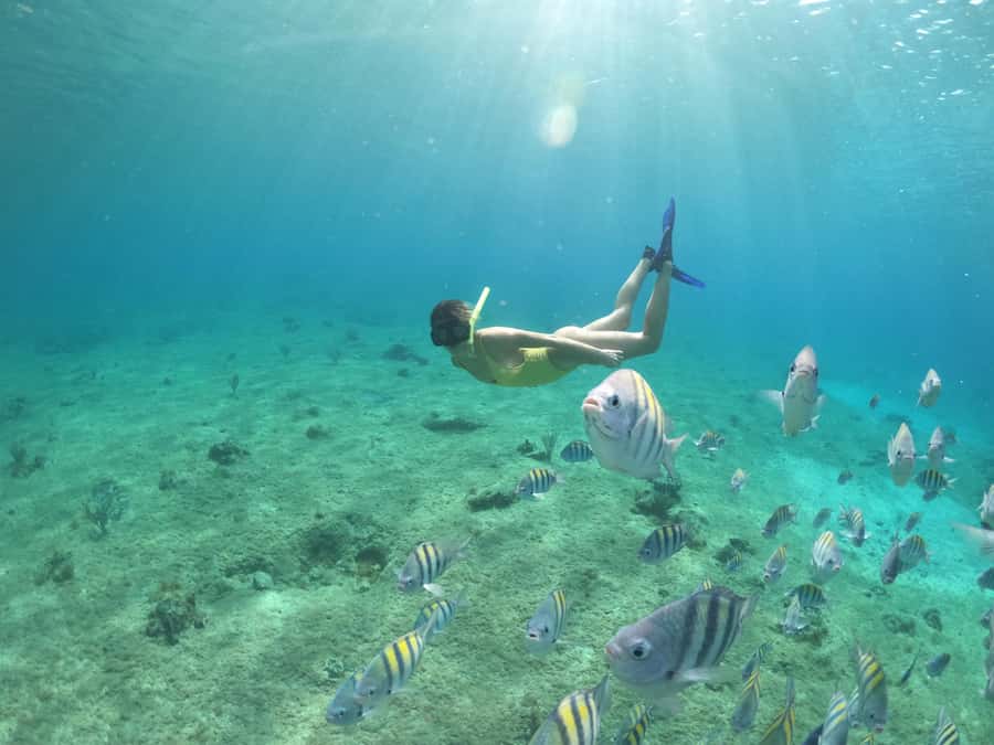 From Cozumel: Invisible Boat Snorkeling Tour - Drinks, Comfort, and the Small Things That Affect Enjoyment