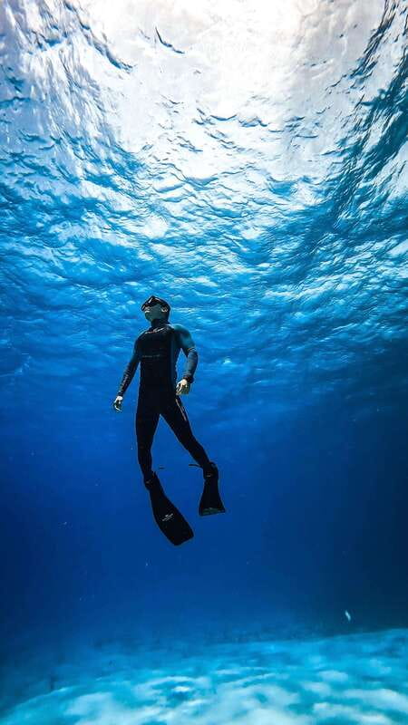 From Cozumel: Snorkel Private Charter to el Cielo & Cielito - Key Points I’d Bet On