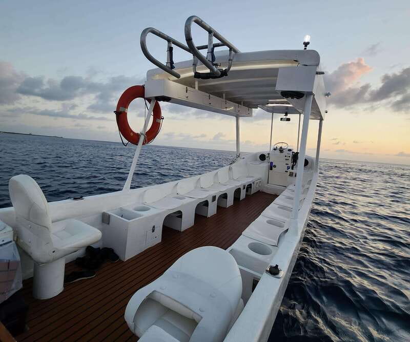 From Cozumel: Snorkel Private Charter to el Cielo & Cielito - El Cielo and Cielito: Starfish Sands and Stingray Time