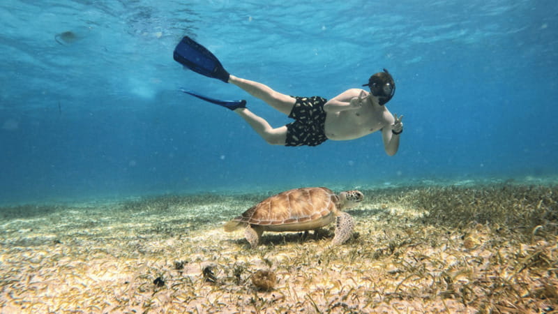 From Cozumel: Snorkel Private Charter to el Cielo & Cielito - Should You Book This El Cielo and Cielito Snorkeling Charter?