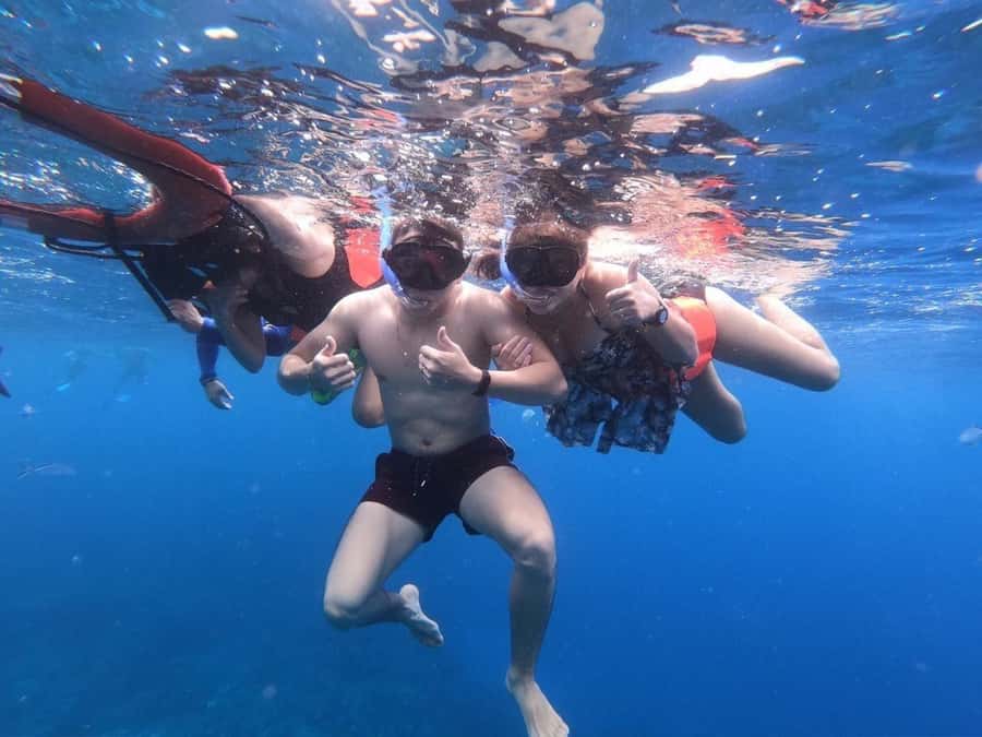 From Cozumel: Starfish, Stingrays and the Turtle Sanctuary - El Cielito Beach: Shallow Stingray Encounters You Can Actually Enjoy