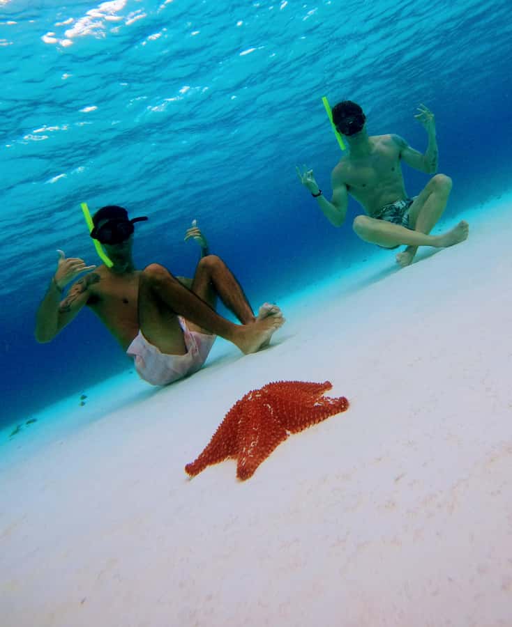 From Cozumel: Starfish, Stingrays and the Turtle Sanctuary - Price and Value: How the $52 Fits Real Costs