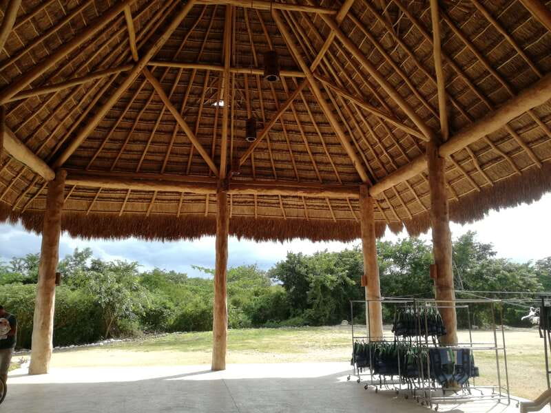 From Merida: Full-Day Cuzama Cenotes tour - Xoch Cenote open pool: your last swim, more exposed nature